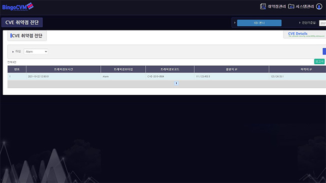 CVE 취약점 진단 화면